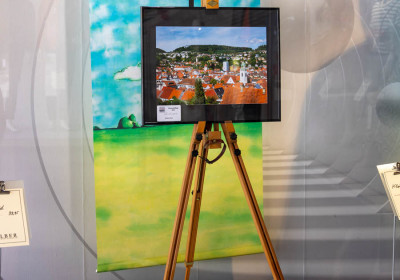 Bildergalerien der Mitglieder