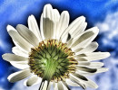 img 20220521 204449
