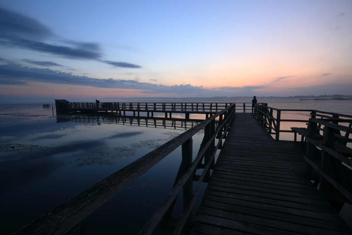 federsee 210814