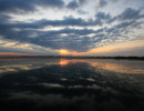 federsee 210814