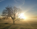 img wa0002