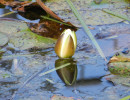 dscn4039
