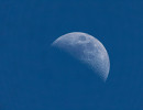 20260423 halb mond am tag 1